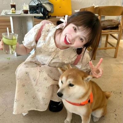 不法岳父母